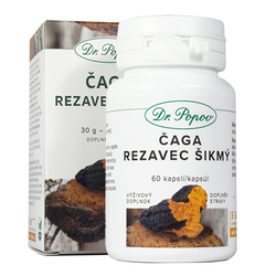 Čaga-Rezavec šikmý, 60 kapslí Dr. Popov