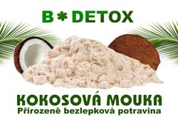 Bio-Detox Kokosová mouka 1000g