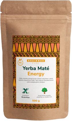 BrainMax Pure Organic Yerba Maté - Energy, 500 g